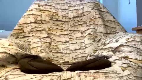 thanks for visiting online show from 12-16-25, 04:23