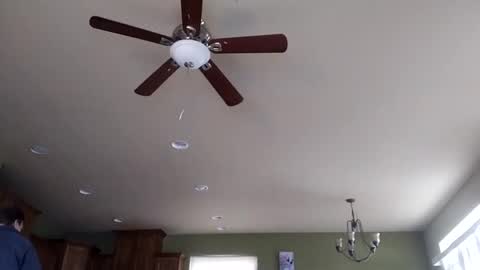 Iminyourroom online show from 01-31-25, 08:22