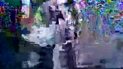 in201943 online show from 03-06-26, 08:33