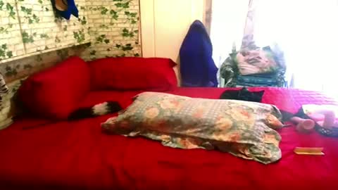 indian_blaze00 online show from 02-04-25, 01:27