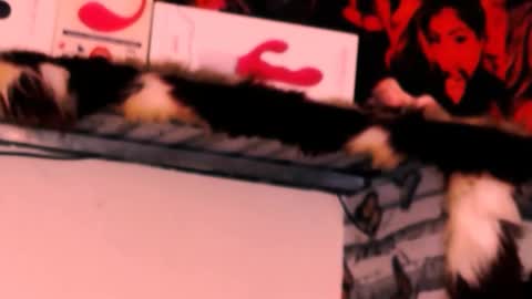 Snapshot of indian_dreamgirl chatting on 11-24-25, 12:32 Bella Ambrosia online show from 11-24-25, 12:32