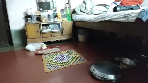 BOREDILDO online show from 03-12-26, 07:09