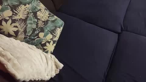 Marek online show from 12-23-24, 04:06