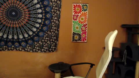 Africa online show from 01-05-25, 08:10