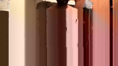 inyourmouthagain online show from 10-08-25, 09:29