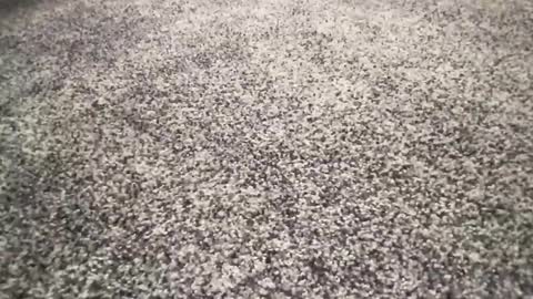 ironerectionn online show from 01-11-26, 01:32