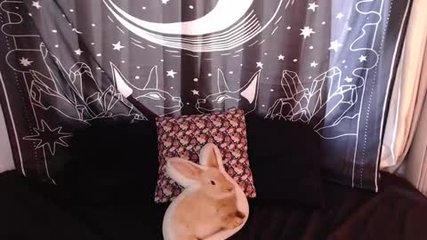    online show from 01-03-25, 07:29