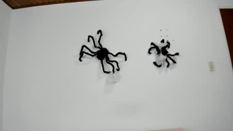 isabella_jaramillo online show from 11-02-25, 12:29