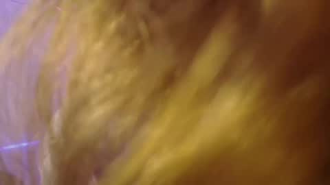 Isabella Rros online show from 11-06-25, 01:56