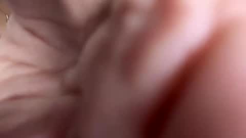 Snapshot of isabrown10 chatting on 10-03-25, 04:42 isabrown10 online show from 10-03-25, 04:42