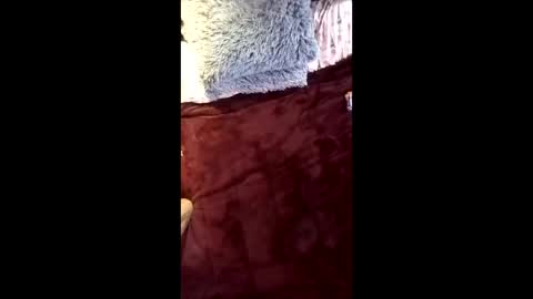 Snapshot of isaldatrans chatting on 04-16-26, 09:32 Ral online show from 04-16-26, 09:32