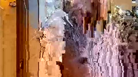 ItsFoxie online show from 01-18-26, 04:49