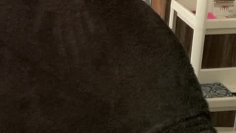 Raje online show from 10-22-25, 03:40