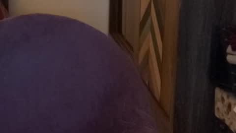 Raje online show from 11-15-25, 04:03