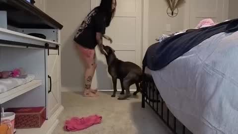 ivey jade online show from 11-05-25, 07:30