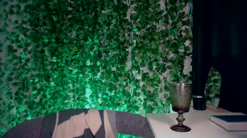 Snapshot of ivyjonson chatting on 12-28-24, 07:54 Miss Ivy online show from 12-28-24, 07:54