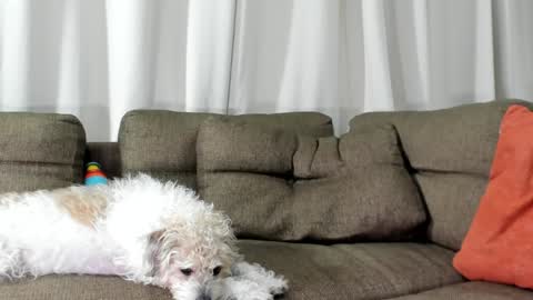 Snapshot of j_calix chatting on 01-20-25, 05:26 Calix Independient model Insta and twt Calixsnake online show from 01-20-25, 05:26