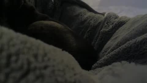 jackad44 online show from 10-17-25, 06:32