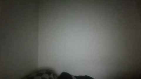 Snapshot of jacklack221 chatting on 02-15-25, 04:47 jack online show from 02-15-25, 04:47