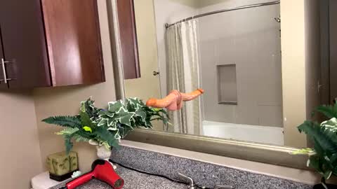 Jack Xavier  Missy online show from 02-12-26, 03:45