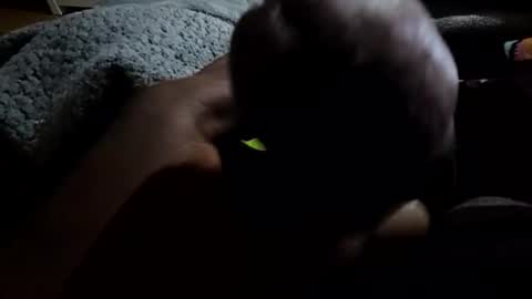 jackwiskyhoney online show from 01-19-26, 03:21