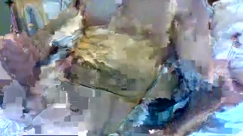 jameswhite5001 online show from 02-08-25, 03:21