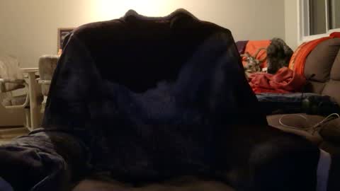 Snapshot of jameswolf777 chatting on 11-12-25, 08:48 jameswolf777 online show from 11-12-25, 08:48