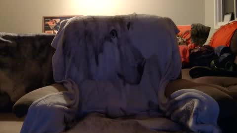 Snapshot of jameswolf777 chatting on 12-16-25, 02:44 jameswolf777 online show from 12-16-25, 02:44