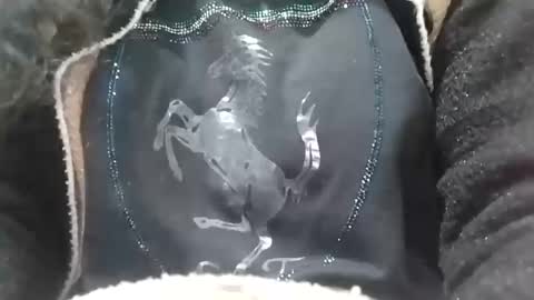 Snapshot of jasspreettt chatting on 02-02-25, 06:58 jasspreettt online show from 02-02-25, 06:58