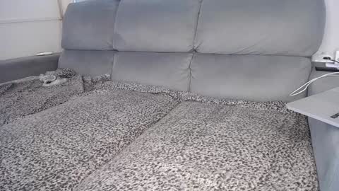 Snapshot of javierandaniel chatting on 12-05-24, 04:01 Javier online show from 12-05-24, 04:01