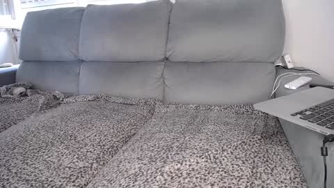 Snapshot of javierandaniel chatting on 12-07-24, 04:47 Javier online show from 12-07-24, 04:47