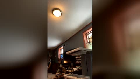 Jaws  online show from 01-17-26, 04:54