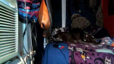 jaxxx666 online show from 02-25-25, 04:46