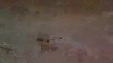 jaybird8 online show from 02-15-25, 06:55