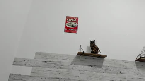 Jaycreedd online show from 03-08-25, 02:34