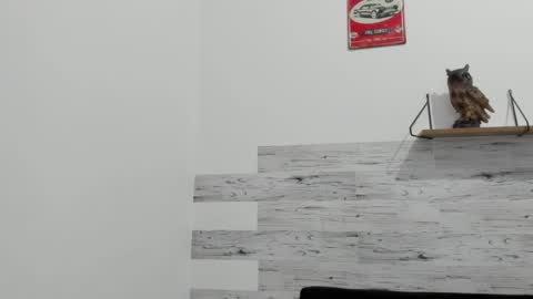 Jaycreedd online show from 09-16-25, 11:50