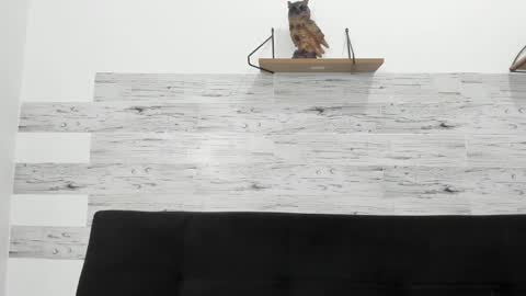 Jaycreedd online show from 10-29-25, 04:15