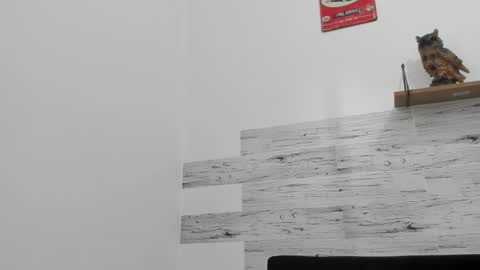 Jaycreedd online show from 11-16-25, 05:51