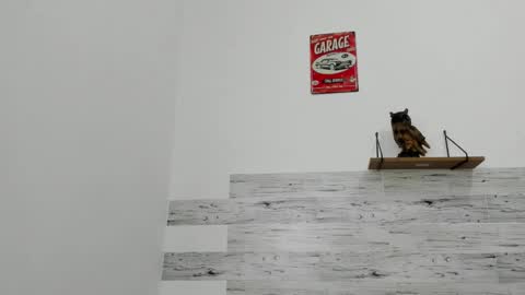 Jaycreedd online show from 11-22-25, 03:22