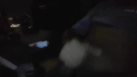 jaywulf22 online show from 01-17-26, 05:23