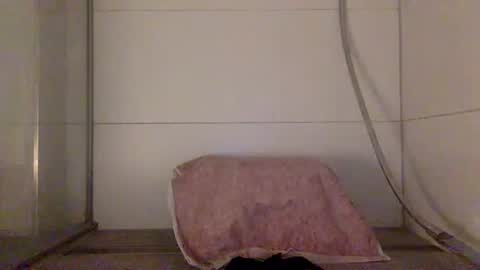 Snapshot of jayzee1996 chatting on 10-09-25, 08:18 Hafte online show from 10-09-25, 08:18