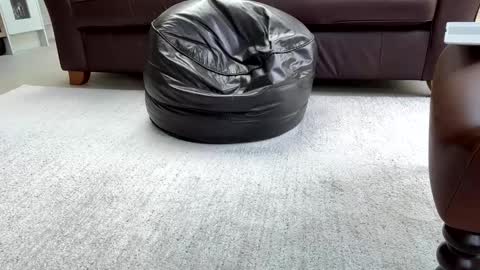 Snapshot of jeeves200 chatting on 02-25-25, 03:16 Sensual Jeeves online show from 02-25-25, 03:16