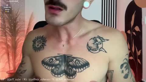 Snapshot of jeff_cube chatting on 11-23-25, 02:33 Jeff and Mugi Independent model online show from 11-23-25, 02:33