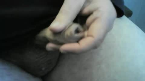 jellydaddy57 online show from 01-24-25, 01:03