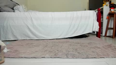 infamous blondiechloe.             Jennyjennywildd online show from 10-29-25, 03:36