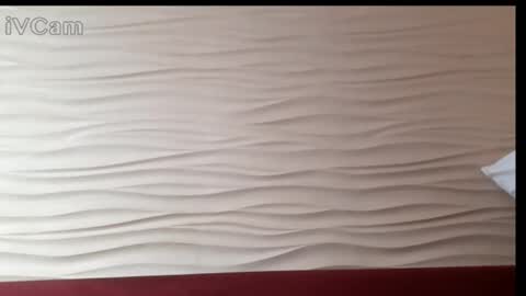 Alexandria online show from 03-12-25, 12:26