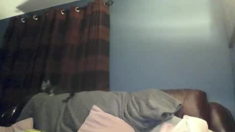 jilfyj online show from 03-15-26, 12:49