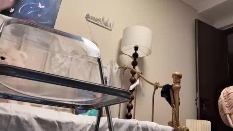 meng meng online show from 02-04-26, 02:45