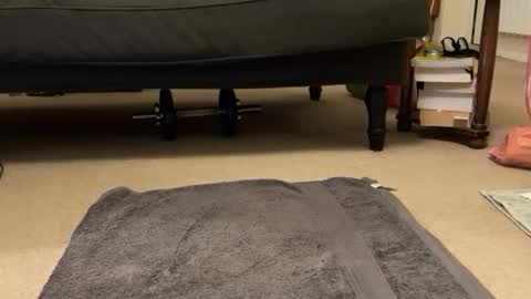 Snapshot of jinker2002 chatting on 12-16-24, 05:22 jinker2002 online show from 12-16-24, 05:22