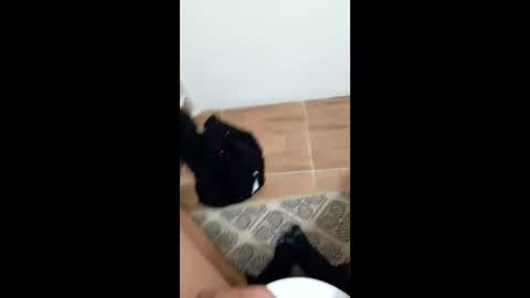 jixldfseepsv online show from 01-17-26, 12:21